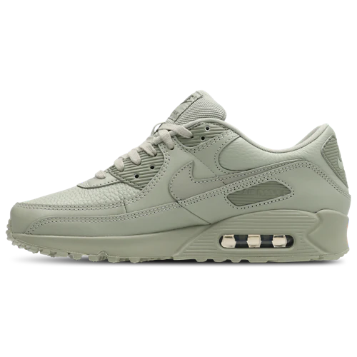 Nike Air Max 90 Spruce Fog-Silver